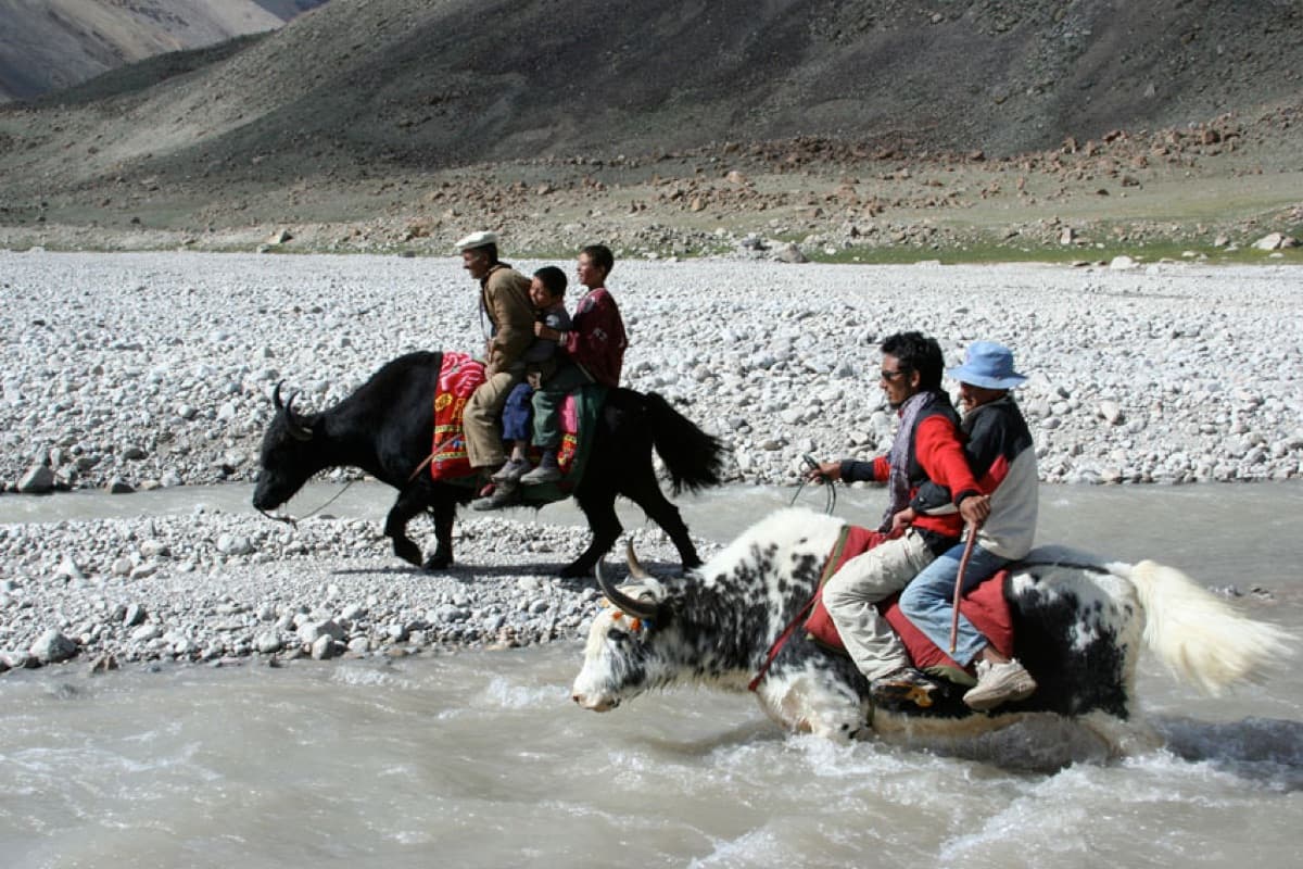 Shimshal Kuch Festival — Shimshal Valley, Gilgit-Baltistan