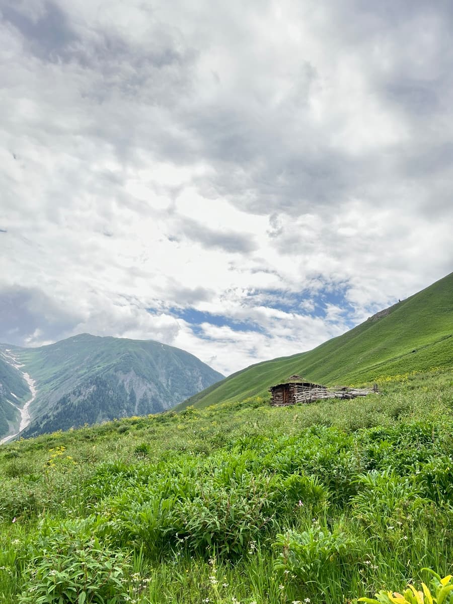 Alpine meadow in northern Pakistan